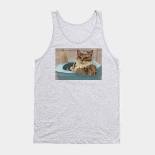 Furry Tabby Cat Blocking the Sink Tank Top